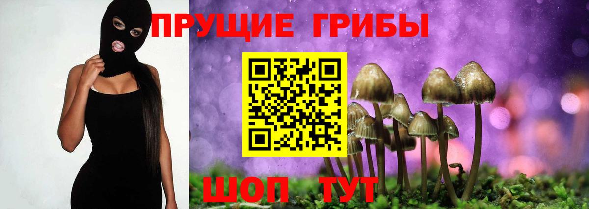 Тулун  Псилоцибиновые грибы ЛСД  Вход с VPN  Псилоцибиновые грибы GOLDEN TEACHER 